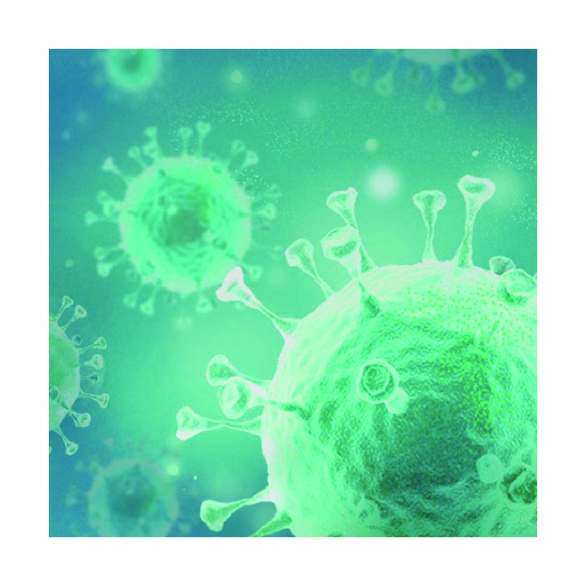 慢病毒研究試劑